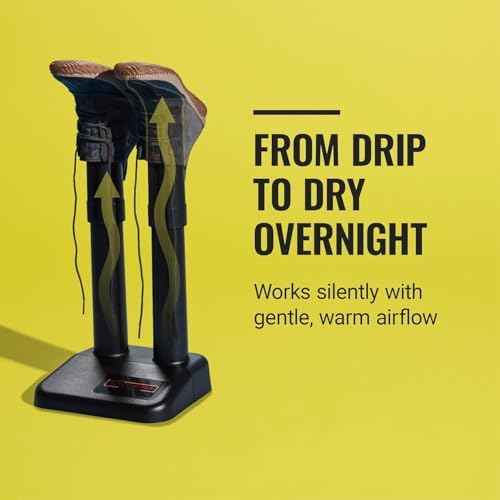 Secadora eléctrica de zapatos